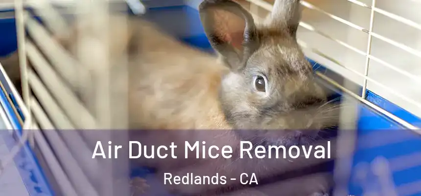 Air Duct Mice Removal Redlands - CA