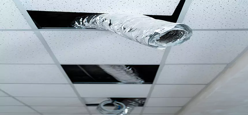 Affordable HVAC Sanitizing After Pest Removal in Redlands