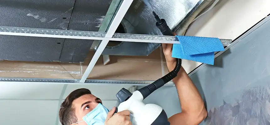 Our Air Duct Rodent Removal Services in Redlands, CA