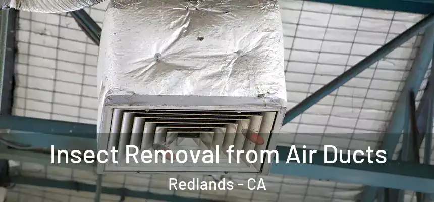 Insect Removal from Air Ducts Redlands - CA