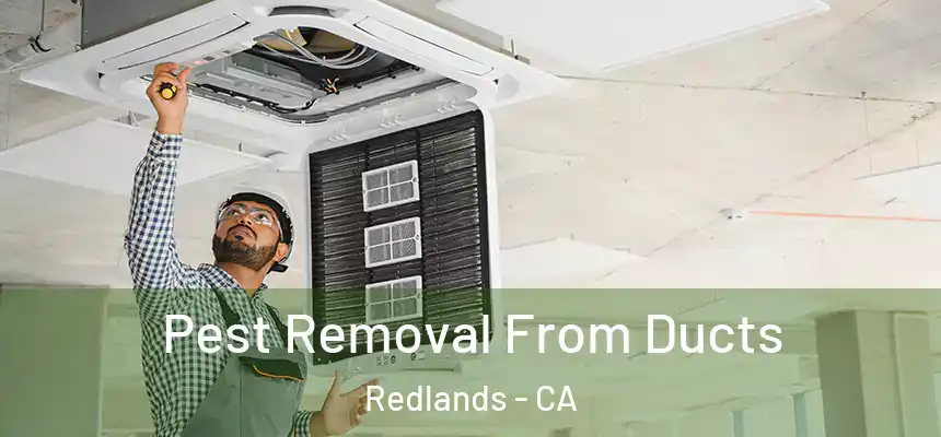 Pest Removal From Ducts Redlands - CA