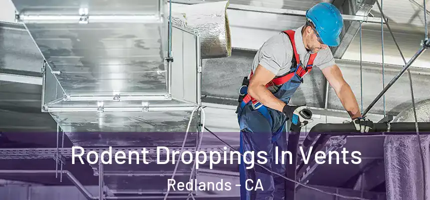 Rodent Droppings In Vents Redlands - CA