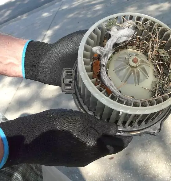 About Air Duct Mice Removal in Redlands, CA