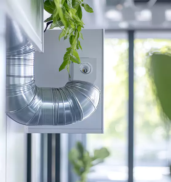 Professional Eco-Safe Dryer Vent Cleaning in Redlands, CA