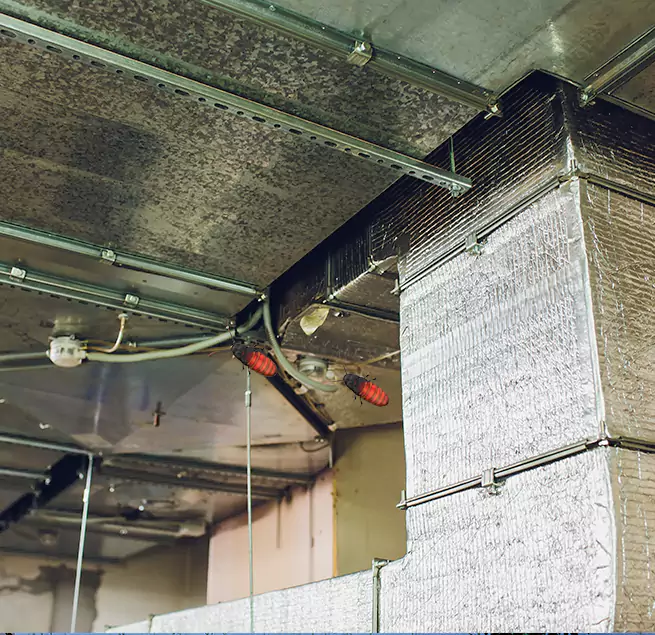 Why Homeowners & Businesses Trust Us in Redlands, CA?