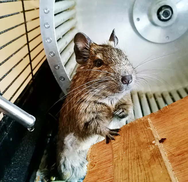 Why Homeowners & Businesses Trust Us Redlands, CA