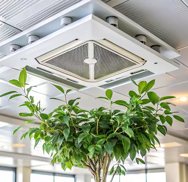 Why Homeowners & Businesses Trust Us in Redlands, CA