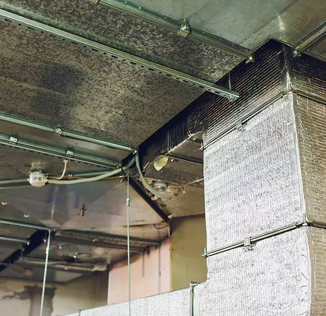 Why Homeowners & Businesses Trust Us in Redlands, CA?